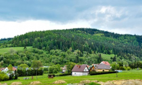 Apartament Pod Łanem Tylicz